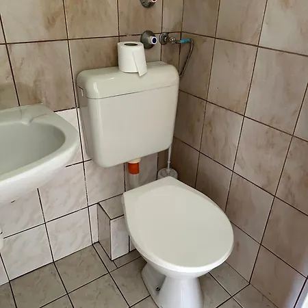 Lelle Club * 巴拉通雷勒